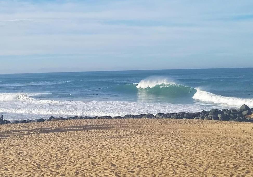 Appartement A 70M De La Plage Et L Estacade De Capbreton Buitenkant foto